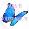 parati416